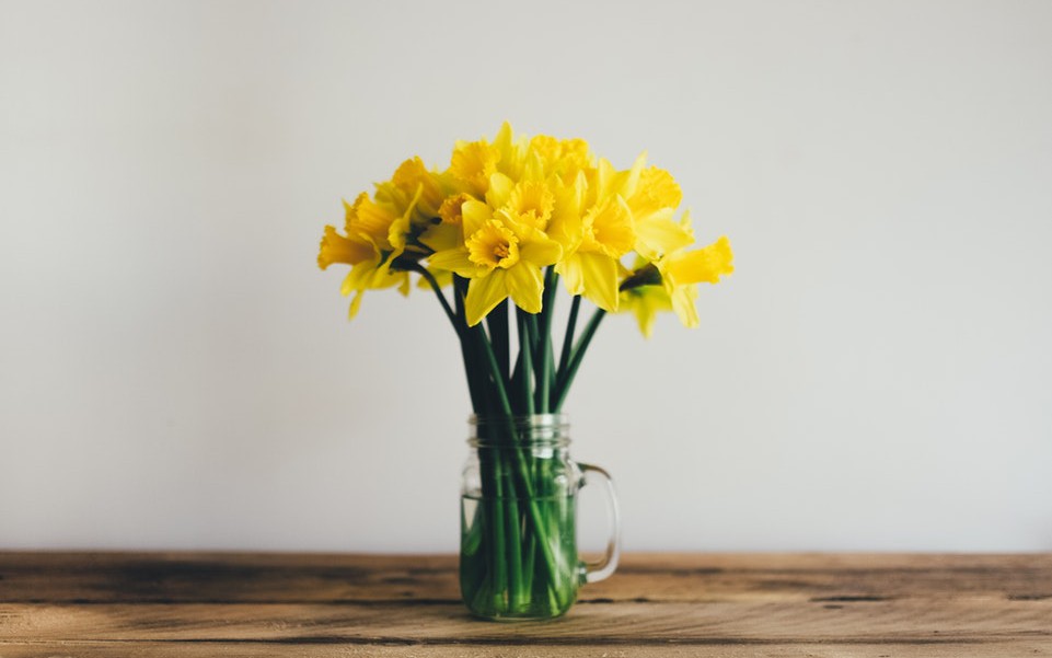 QnA VBage Spring Query Interfaces in CUBA