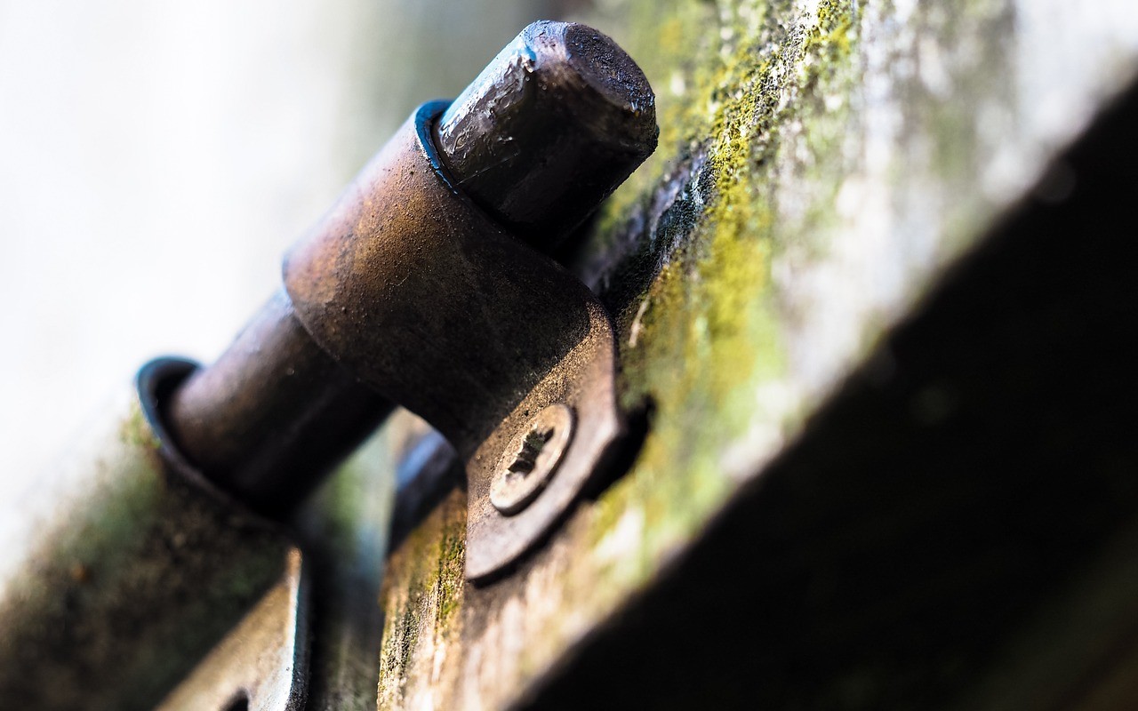 Advanced Web Security Topics