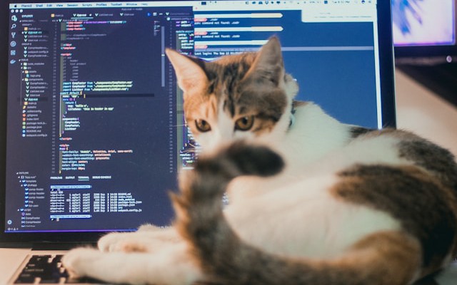 Complex install scripts create fragility, drift, and wasted hours. Reproducibility gives you a real competitive edge in speed, quality, and operational clarity.