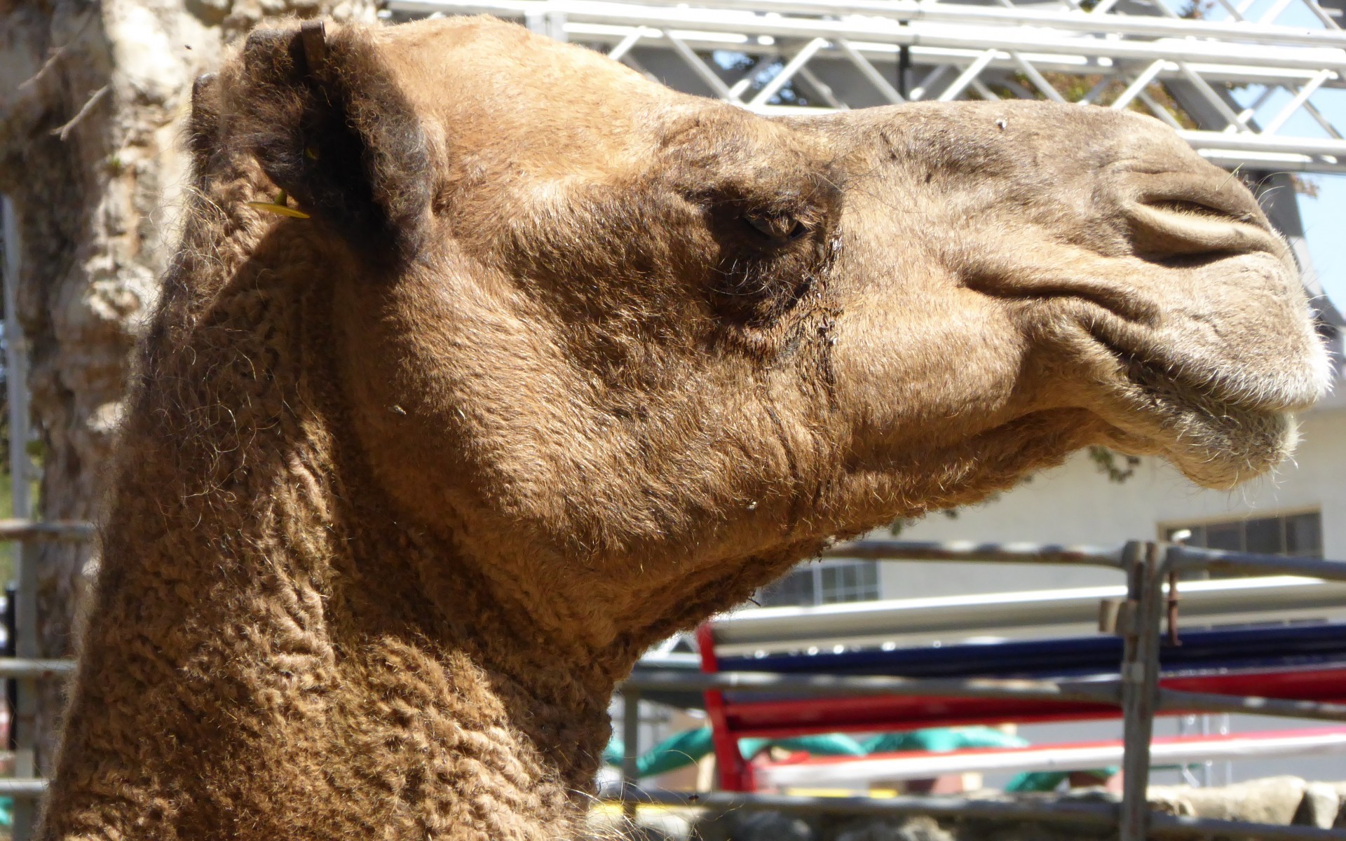 Apache Camel Content Enricher - DZone