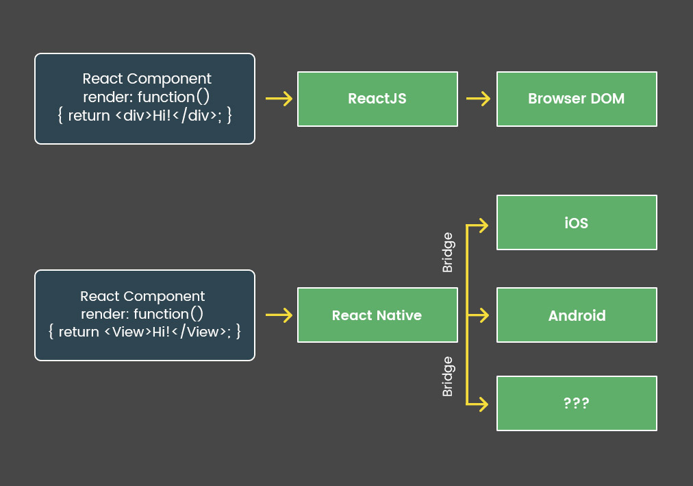 React JS vs React Native