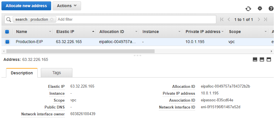 Elastic IP Address: AWS Console