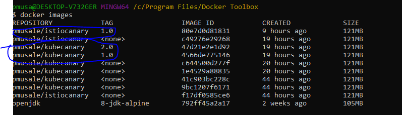 Docker image