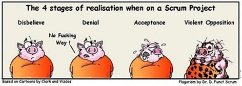 4 stages of realization when on a Scrum project