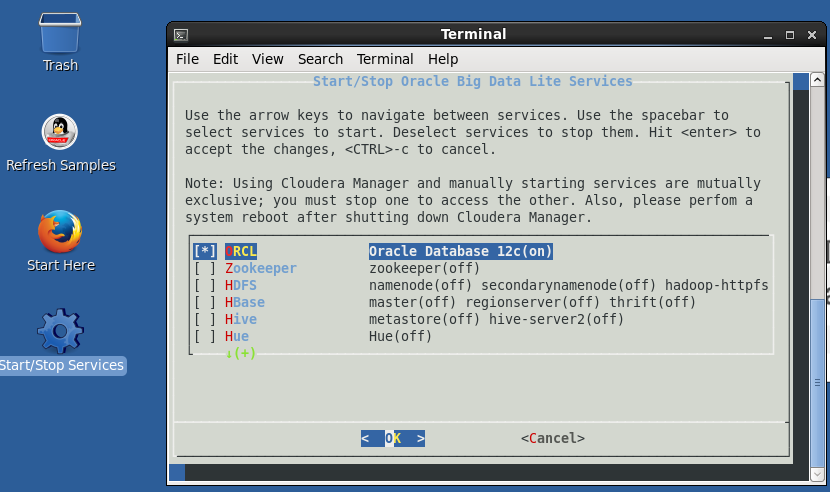 Select ORCL for starting Oracle database