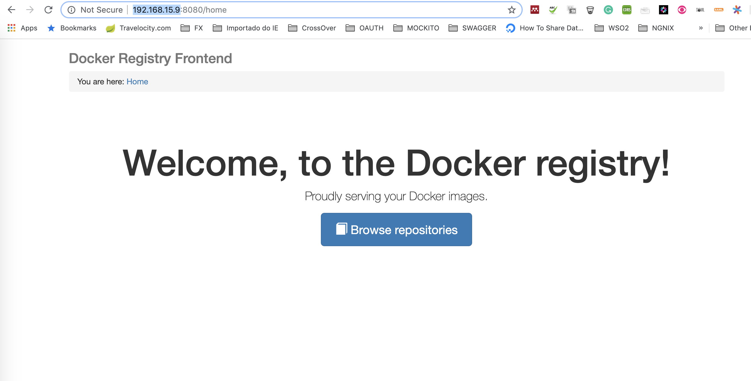Docker registry welcome page