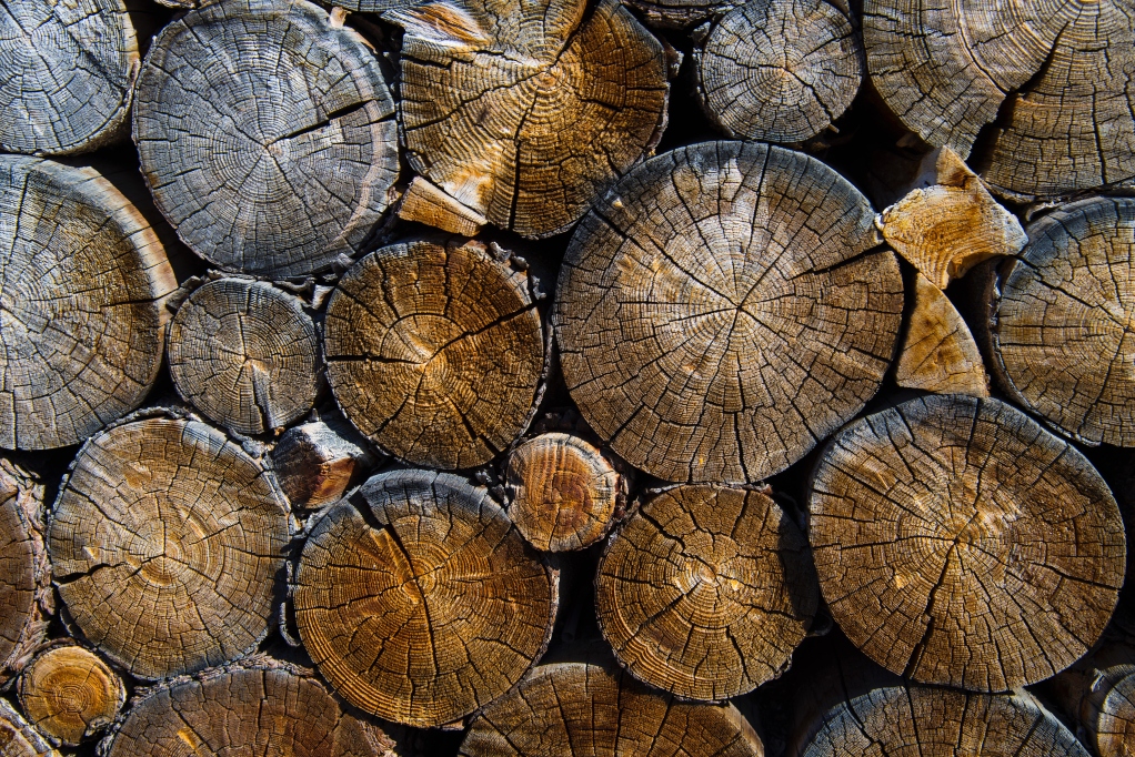 logs-stacked-on-one-another