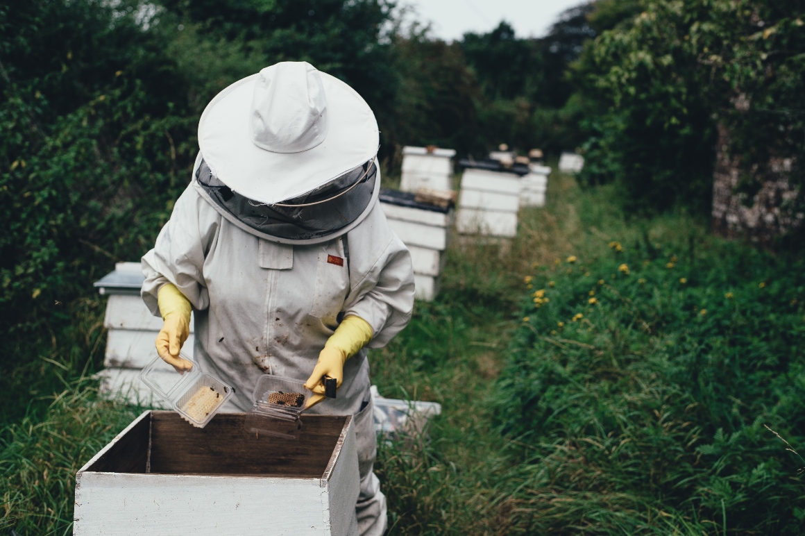 bee-keeper-working-with-bees