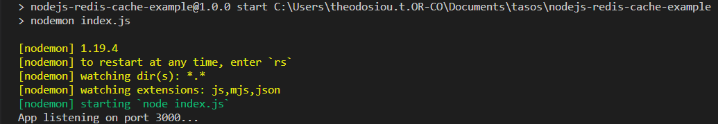 Development server output