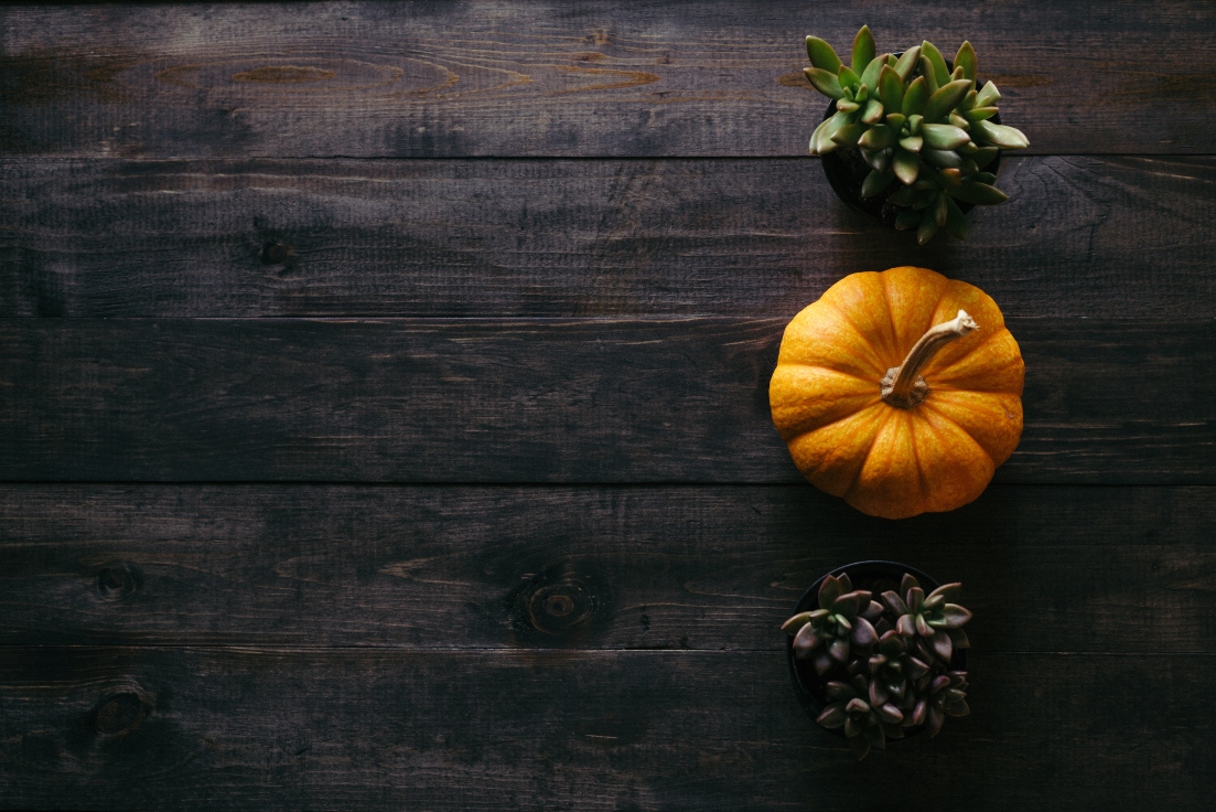 pumpkin-on-thanksgiving-table