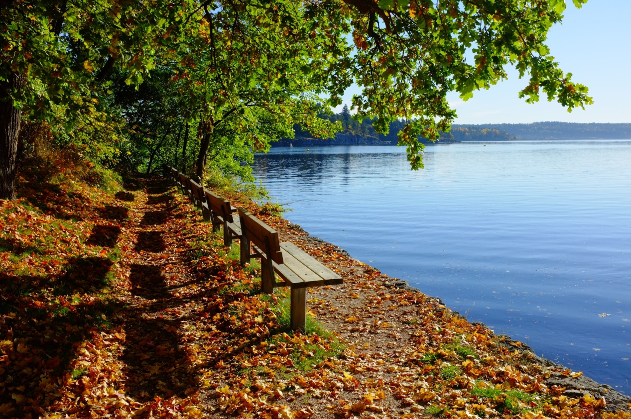 lake-view-benches.