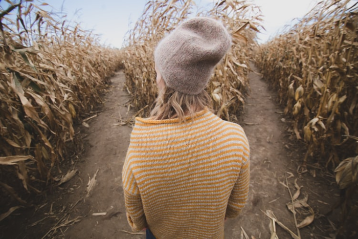 person in corn field with two paths