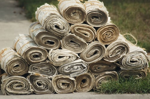 Rolls of newspapers stacked on ground