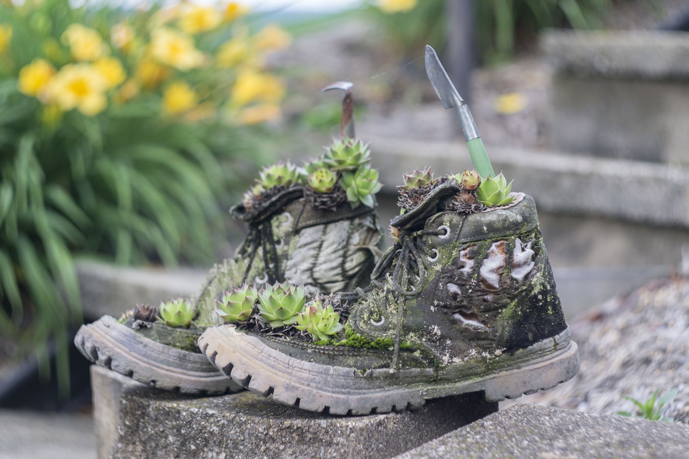 Boots with plants growing on them
