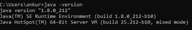 Getting Java version