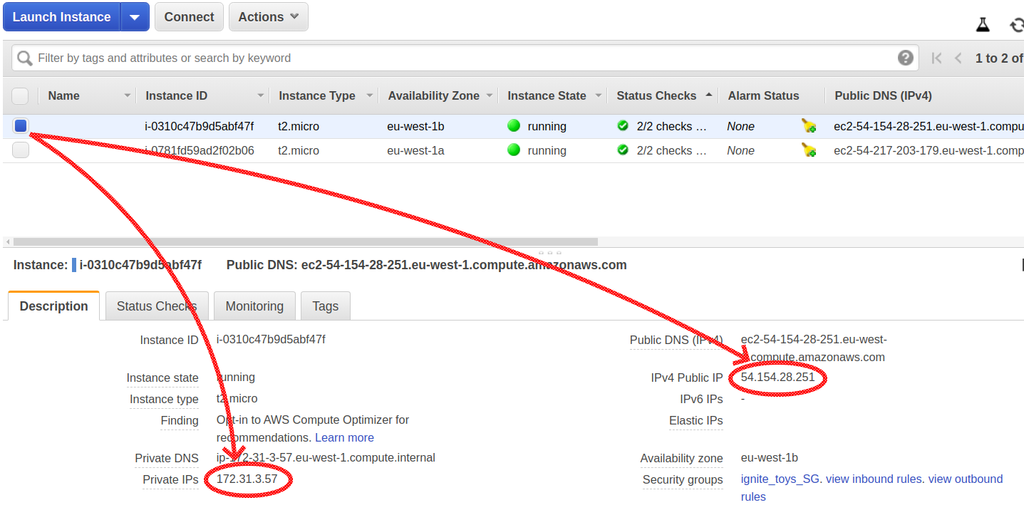 Private and public IP addresses in AWS console