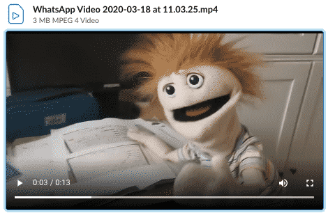 Muppet alter-ego on video chat