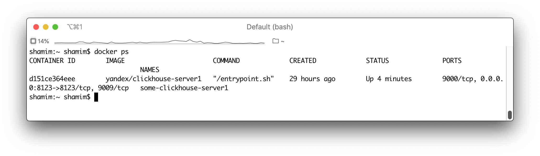 Output of running Docker container