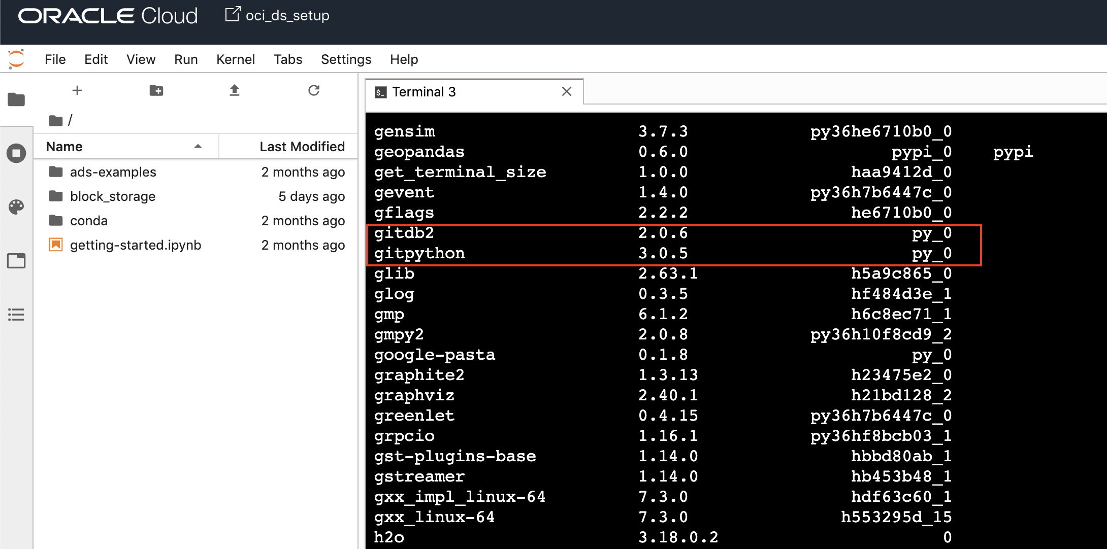 Conda list command output