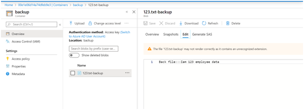 Backup container with backup file