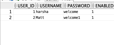 Users table with two users