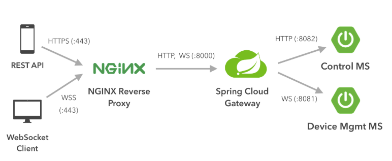 Spring deals boot nginx