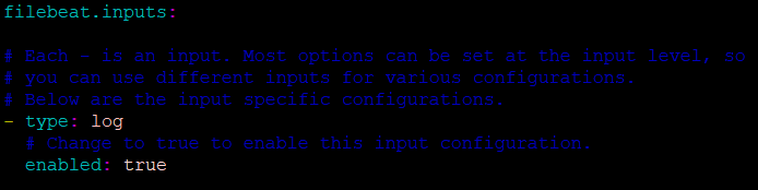 filebeat.inputs