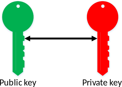 Two linked keys: a public key and a private key.