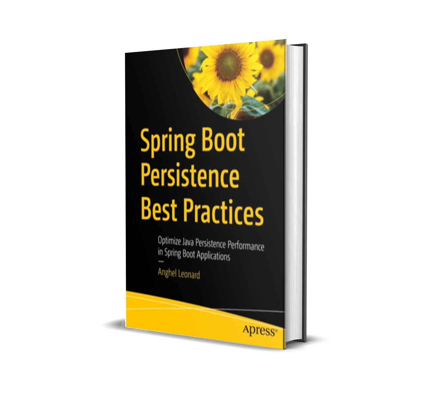 spring boot