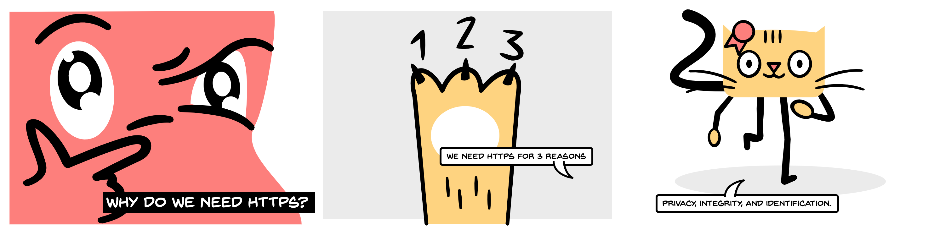 Why do we use HTTPS?