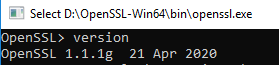 Run version command