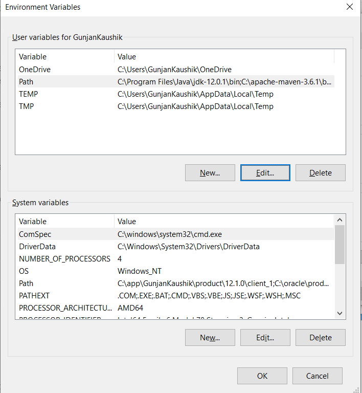 System environment variables