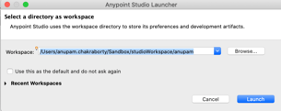 anypoint studio launcher