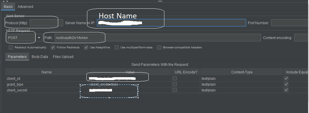 Configuring Bearer Tokens for Load Testing - Web Performance