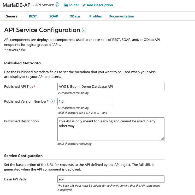 api service config