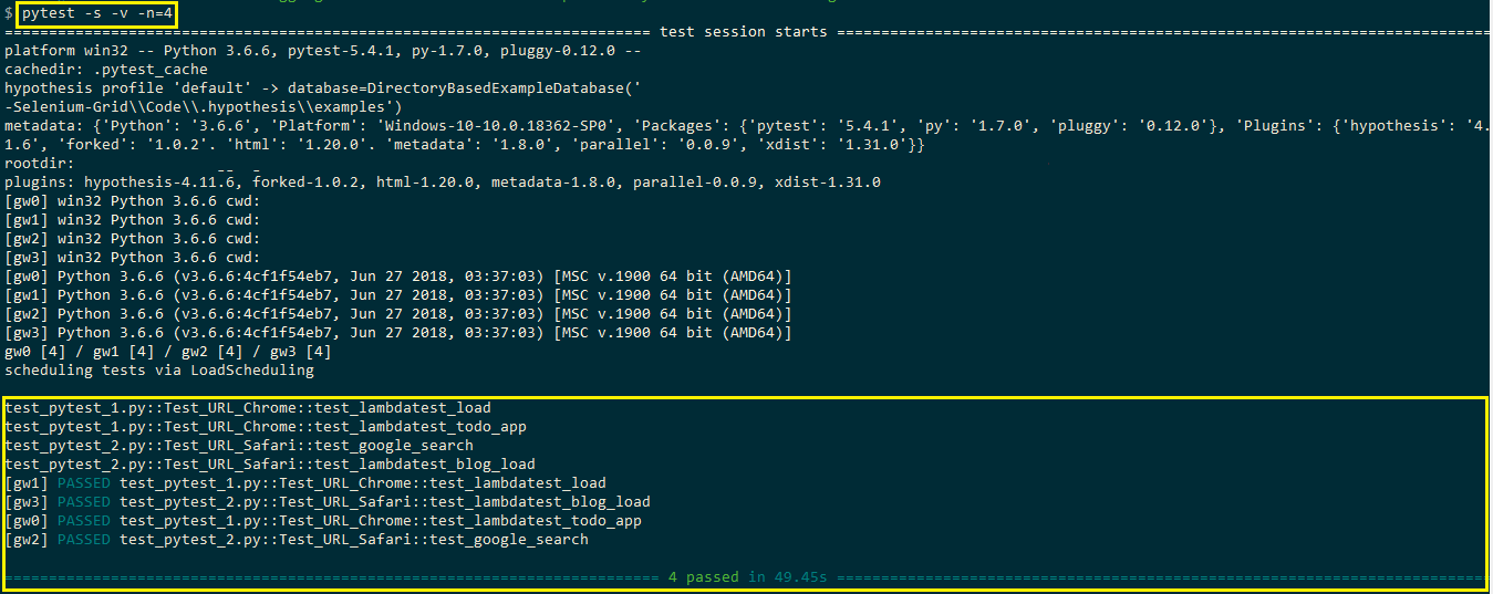 selenium testing