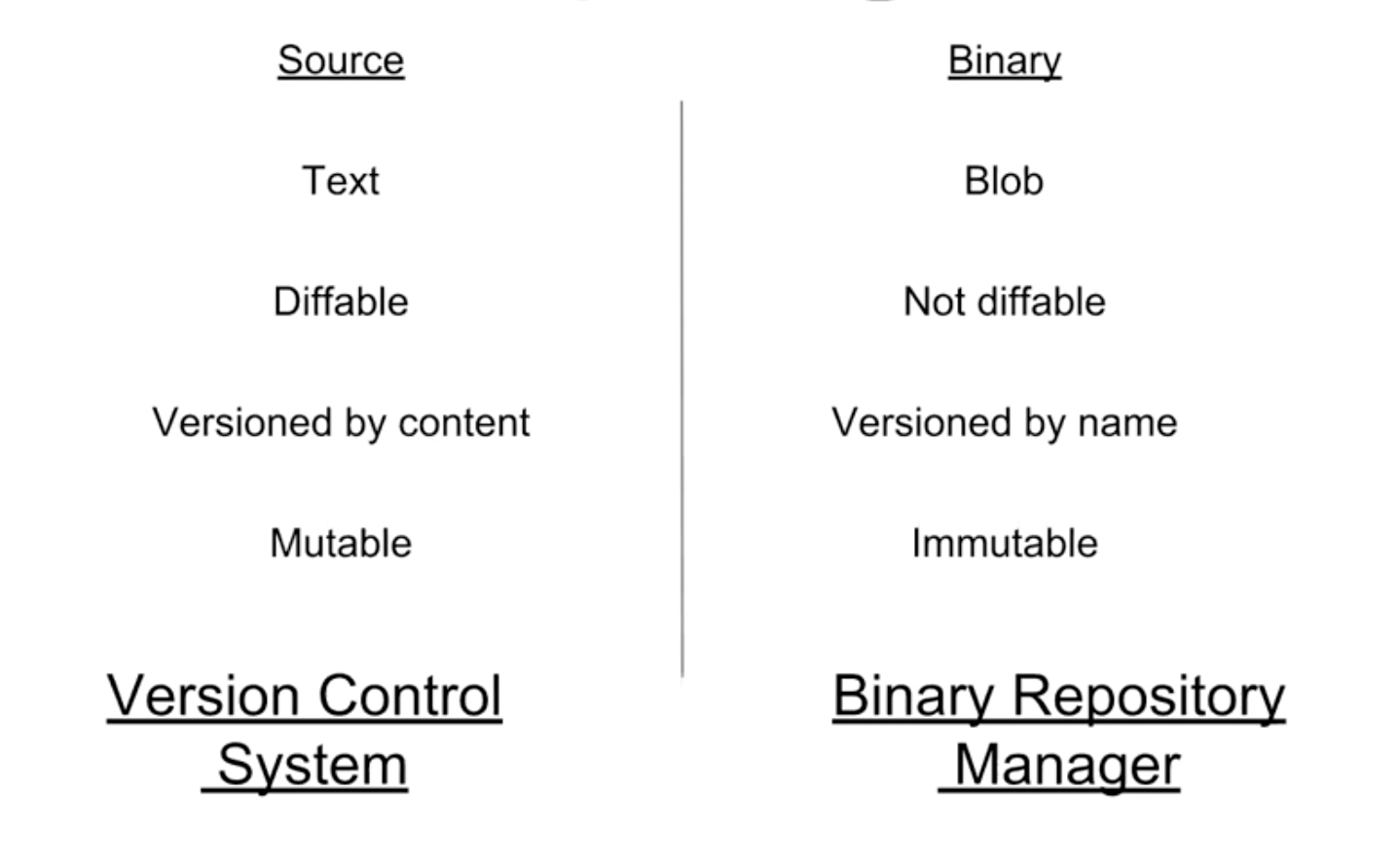 version control vs binary repo