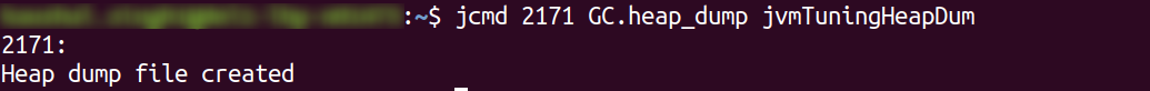 jcmd command - GC.heap_dump