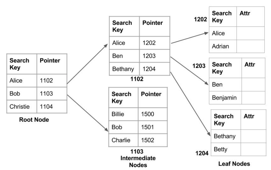 Database - Structure and examples