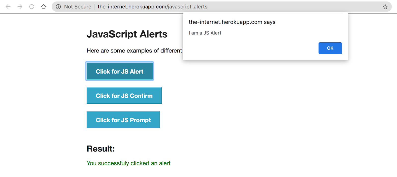 JavaScript Alerts