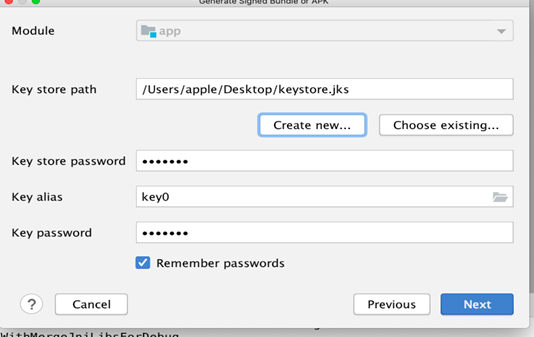 Setting password in KeyStore