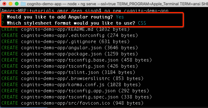 Creating Angular app output