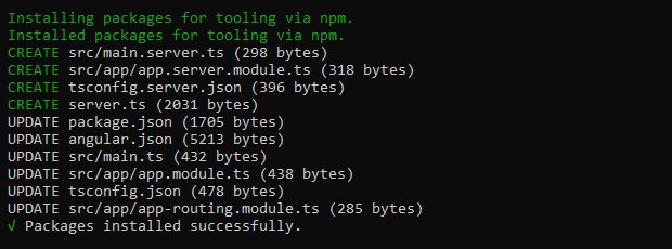 Installing express-engine@next module