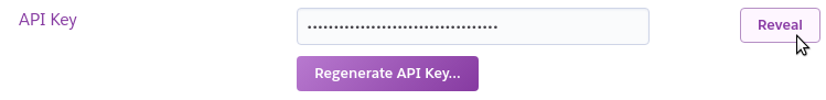 API key in Heroku