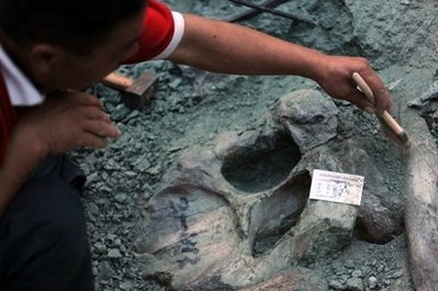 figure 8 - dinosaur excavations