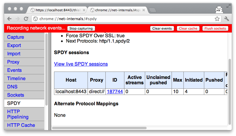 chrome spdy sessions