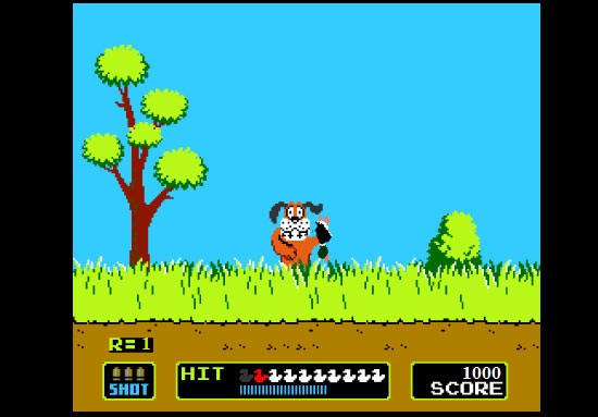 duck hunt