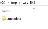 workspace metadata folder