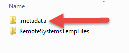 metadata folder in workspace