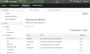 jboss console with datasource